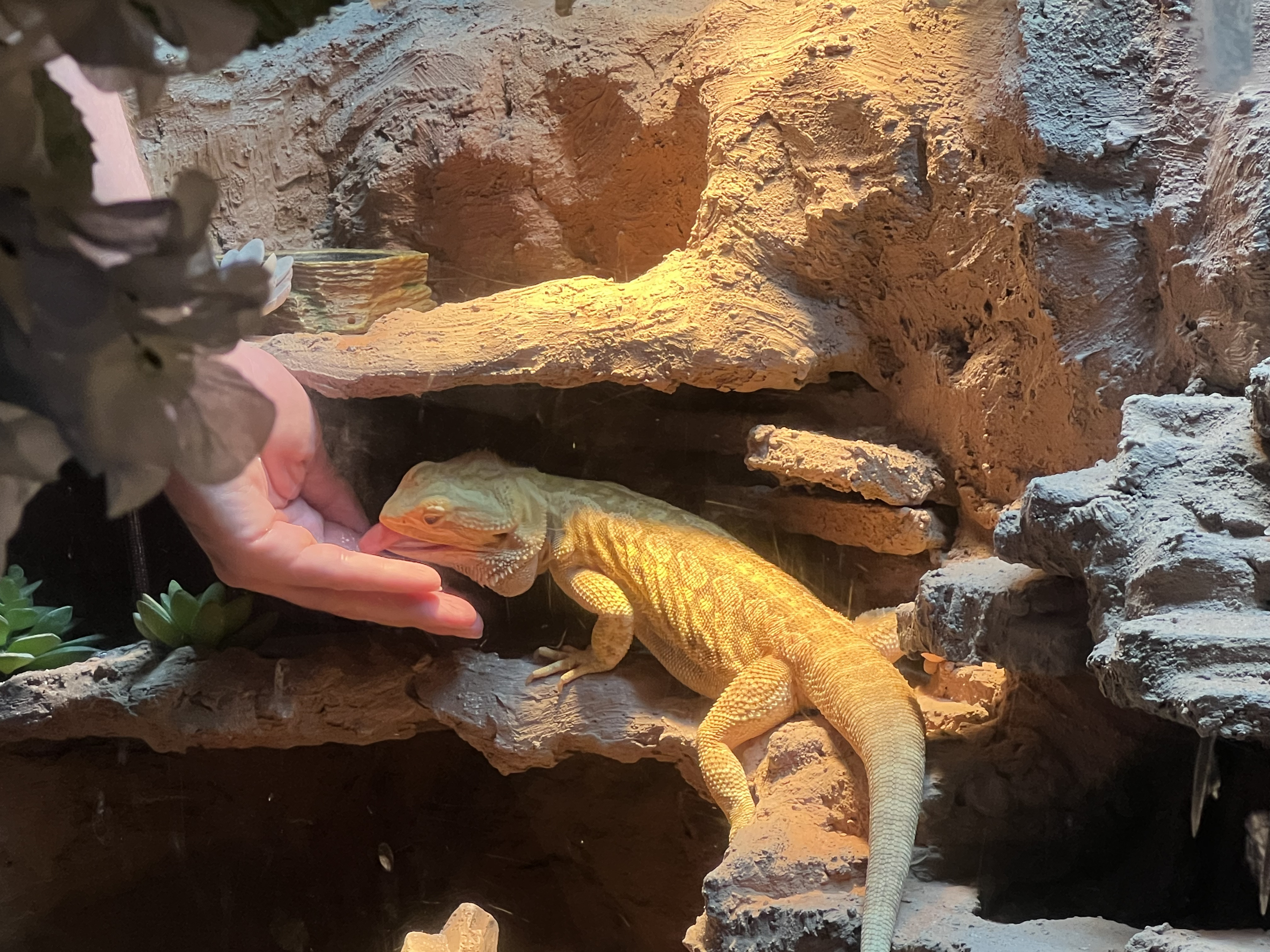 ./2024/10 - Myrtle Beach/IMG_3152.jpg